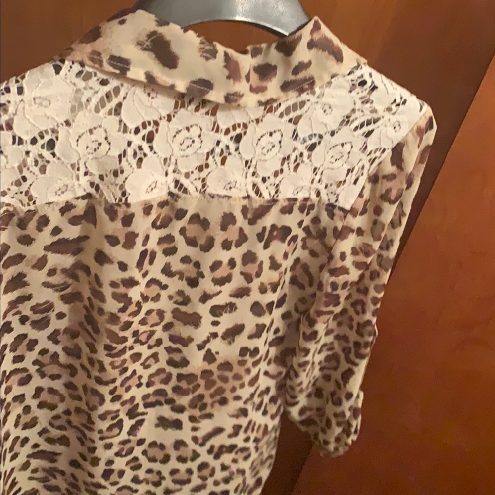 Leopard sheer buttonup - Picture 3 of 5